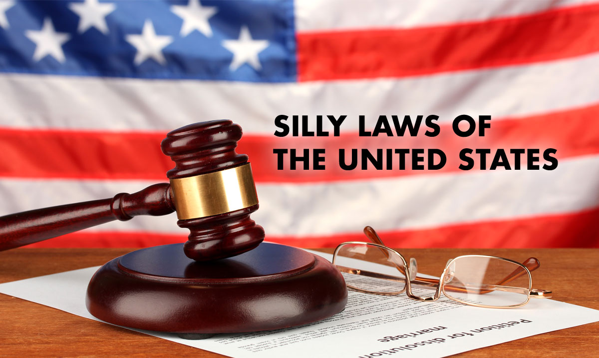 Photos That Poke Fun At Silly United States Laws - Daniel Swanick