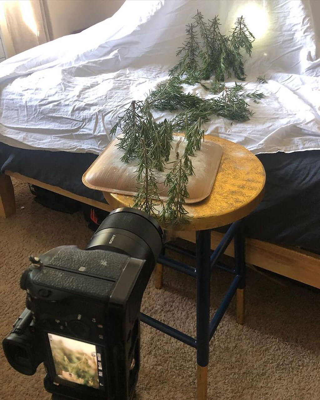 erin sullivan erin outdoors on Quarantined Travel Photographer Creates Miniature Outdoor Scenes With Everyday Objects Daniel Swanick